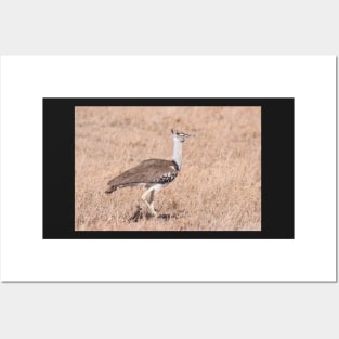 Cory Bustard Posters and Art